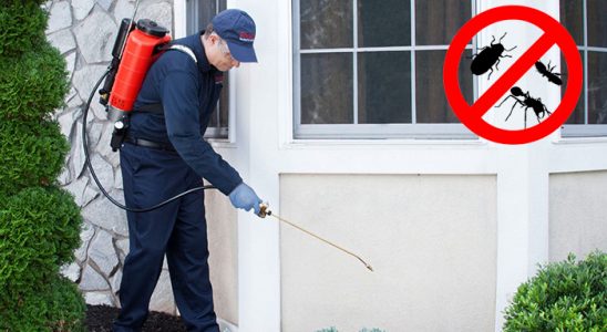 Bornova Karınca İlaçlama böcek ilaçlama ve haşere kontrolü — ilaclama-tr.com